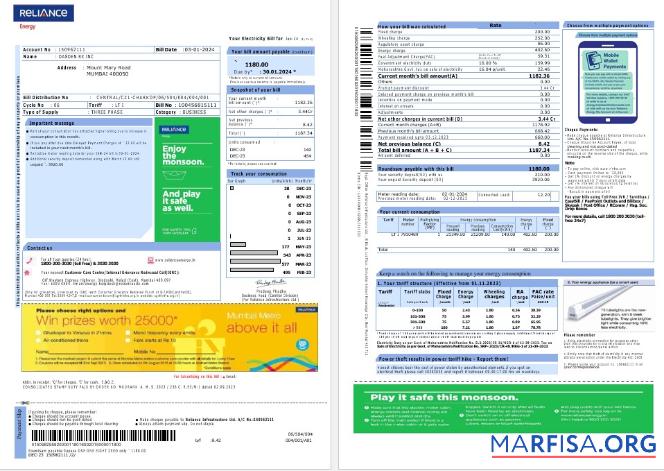 Realistic India Reliance Energy business utility bill Word and PDF template, 2 pages